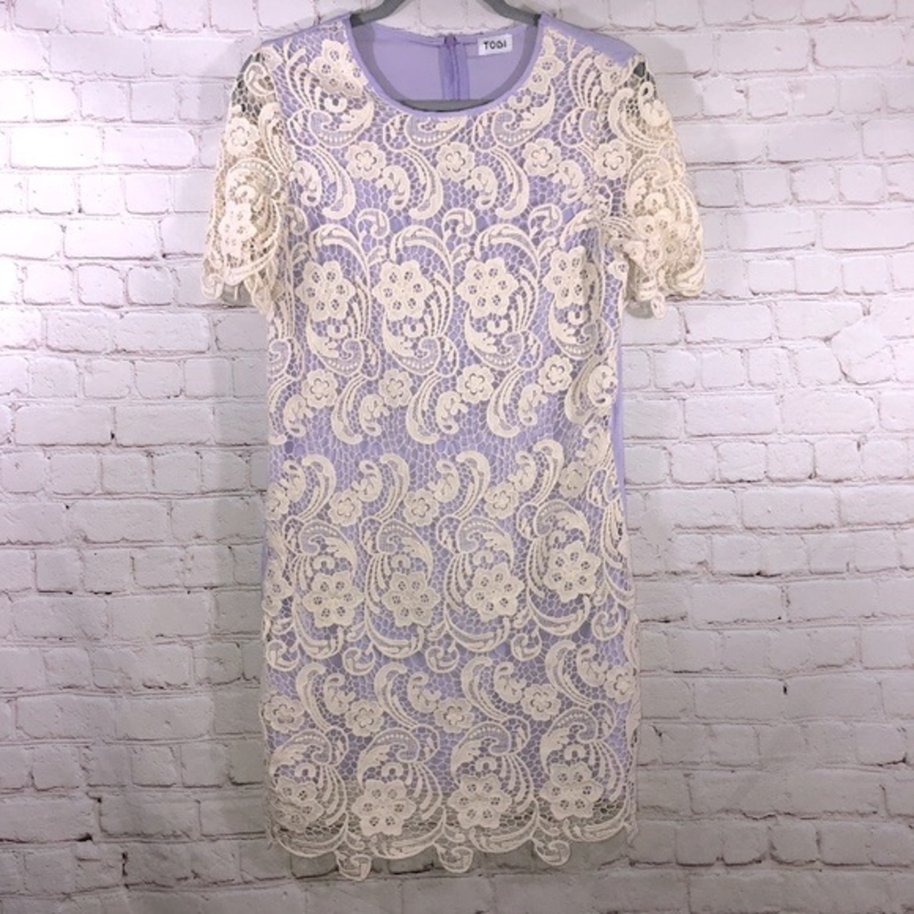 Tobi Embroidery Mini Dress
